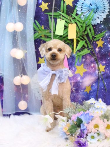 20250712マロンくん